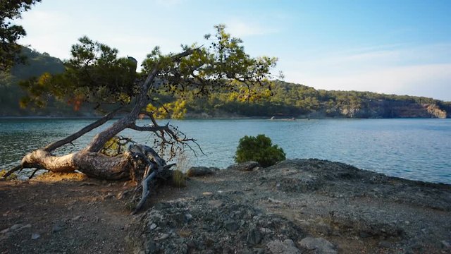 sea shore at sunset landscape