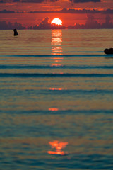 Fototapeta premium orange sunset on sea, vertical