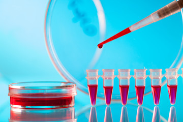Pipette and petri dishes