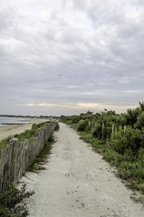 chemin en bord de mer