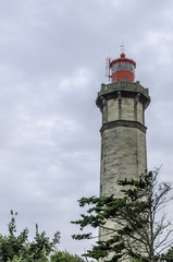 phare des baleines