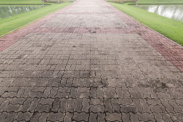 The walkway in the park