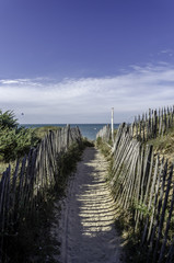 Chemin dans les dunes accès à la plage