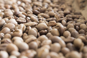   dark color coffee bean in soft focus and blur style for background.