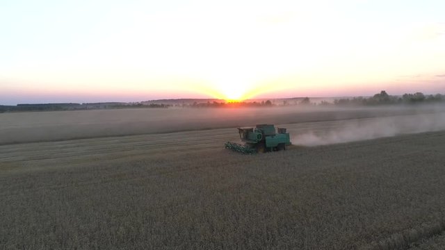 Aerial photography with a drone harvester working in a wheat field at sunset