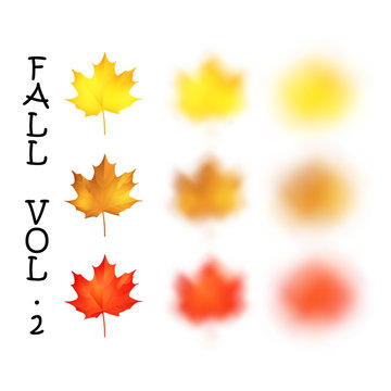 Falling realistic maple leaves set with blured variation, vector illustration