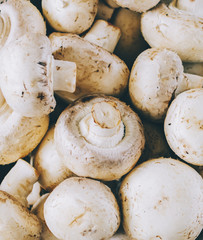 Mushrooms In Plate