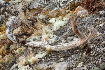 A trip through Lake Ladoga in May