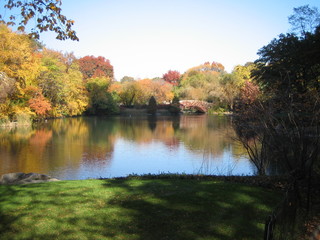 Central Park Lake