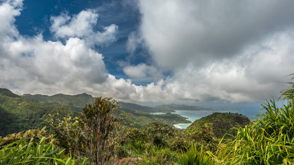 Rain forest and coast line in the Seychelles