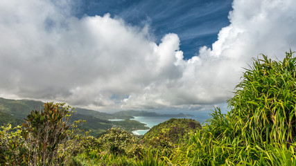 Coast line and rain forest in the Seychelles