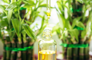 Oil drips from a pipette into a glass bottle on a green background with beautiful juicy leaves of