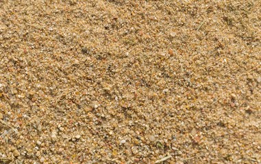Background of sand grains in big xlose up