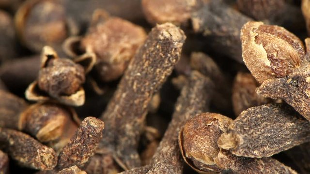 Dried inflorescences of spicy cloves close-up with the effect of scaling