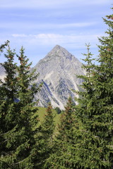 Blick auf das Gaishorn in den Tannheimer Alpen in Österreich. Die Bäume im Vordergrund bilden einen natürlichen Rahmen