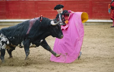 Crédence de cuisine en verre imprimé Tauromachie Bullfighter in a bullring.