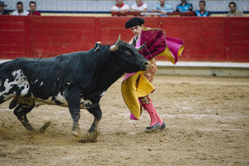 Bullfighter in a bullring.