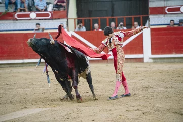 Photo sur Plexiglas Tauromachie Bullfighter in a bullring.