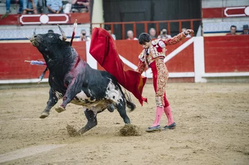 Papier Peint photo Lavable Tauromachie Torero dans une arène.