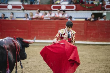 Cercles muraux Tauromachie Bullfighter in a bullring.