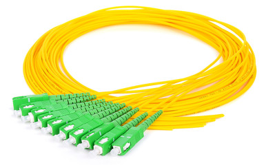 green fiber optic SC connectors on white background