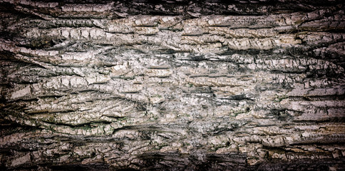 Texture of old wood. Mockup. Seamless texture. Vignetting