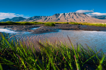 Landscape of a nature grass of a  sunset sky with clouds in the mountains of Spitsbergen Svalbard near the Norwegian city Longyearbyen