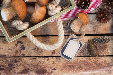 Raw white mushrooms, pine cones and decorative tag