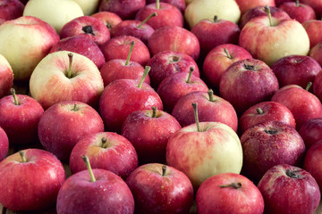 Background with small apples Wooden background Beautiful small apples Harvest background