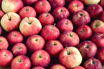 Background with small apples Wooden background Beautiful small apples Harvest background Above