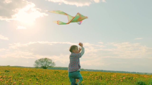 Little boys are playing flying kite at field at sunset
