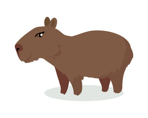Capybara Cartoon Icon in Flat Design