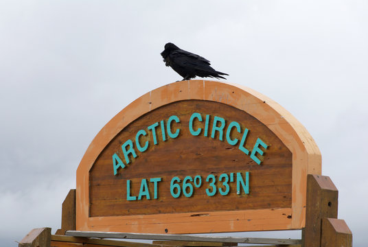 Crow on Arctic Circle sign northern Canada