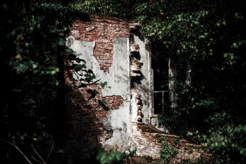 Ruin of farmhouse overgrown by bushes.