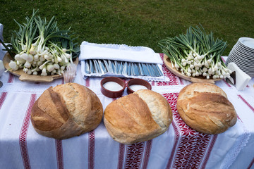 Romanian traditional table arranged for picnic party, with spring onion, bread and salt