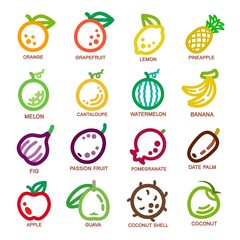 fruit thin line icon set,vector illustration