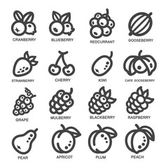 fruit thin line icon set,vector illustration