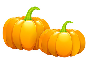 Two beautiful pumpkins without leaves