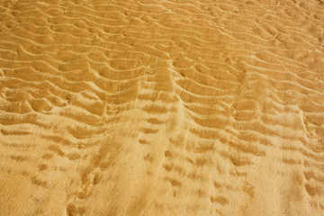 sand beach textured  background
