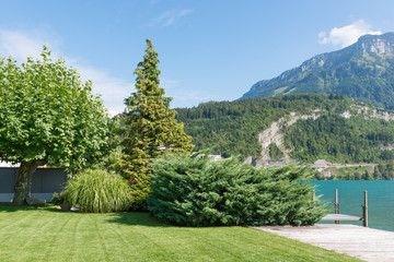 Fototapeta na wymiar Canton Schwyz. Park on the shores of Lake Lucerne. Switzerland.