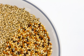 Millet dry seeds beautiful textured background