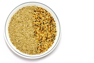 Millet dry seeds beautiful textured background