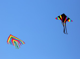 Two huge kites fly in the blue sky in the summer