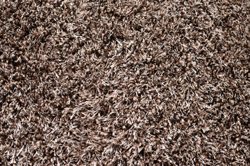 Brown carpet closeup textured sample display, empty blank copy space interior background. Dark colors