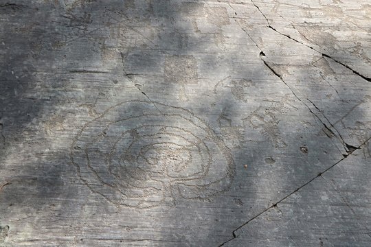 Incisioni rupestri
