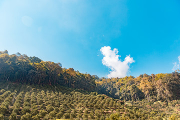 Fototapeta na wymiar Mountain view with cloud and blue sky background