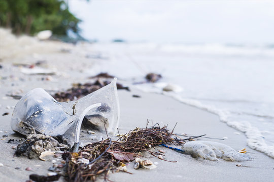 Trash On Sand Beach Showing Environmental Pollution Problem