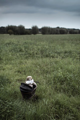 Spooky doll in pram standing in field under dark stormy sky.