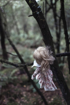 Spooky doll hanging in tree in forest.