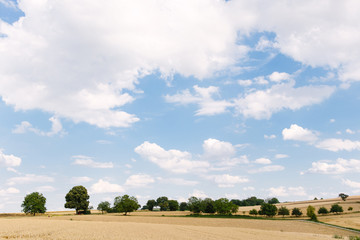 Fototapeta na wymiar Lanschaft mit Weizenfeldern
